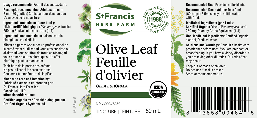 St. Francis Olive Leaf